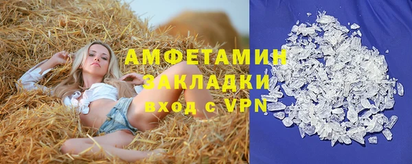 прущие грибы Ладушкин