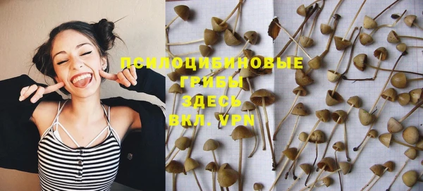 PSILOCYBIN Кулебаки