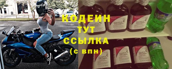 PSILOCYBIN Кулебаки